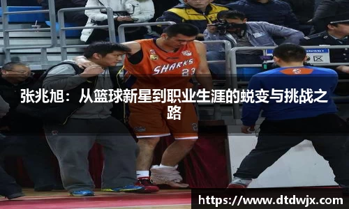 张兆旭：从篮球新星到职业生涯的蜕变与挑战之路
